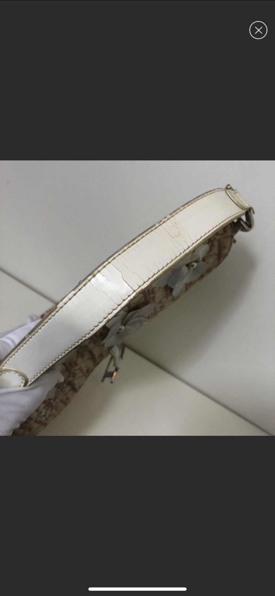 Authentic Dior saddle bag