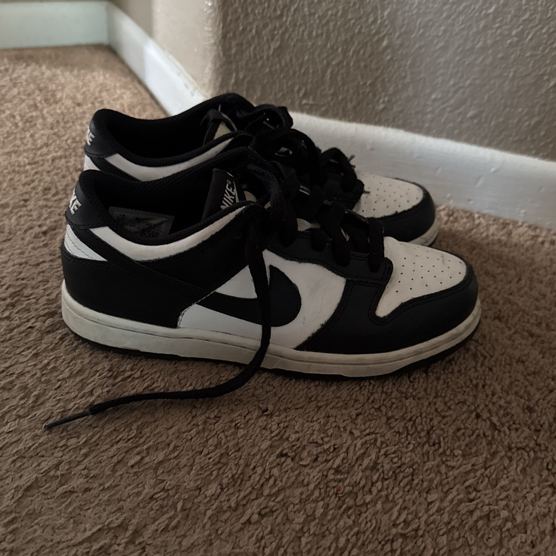 Kids Nike Panda Sz 2.5
