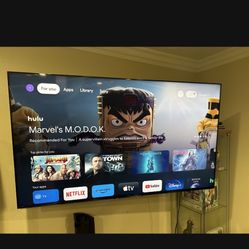 65 Inch Sony Bravia Tv