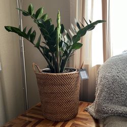 Threshold Rattan Basket With Handles