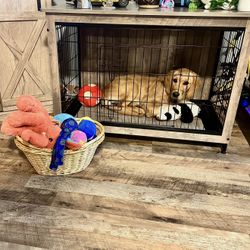 Pretty Dog Crate 