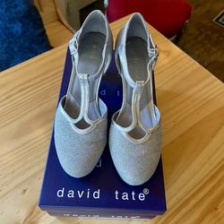 David Tate Silver, Glitter Heels Size 8, Good Condition