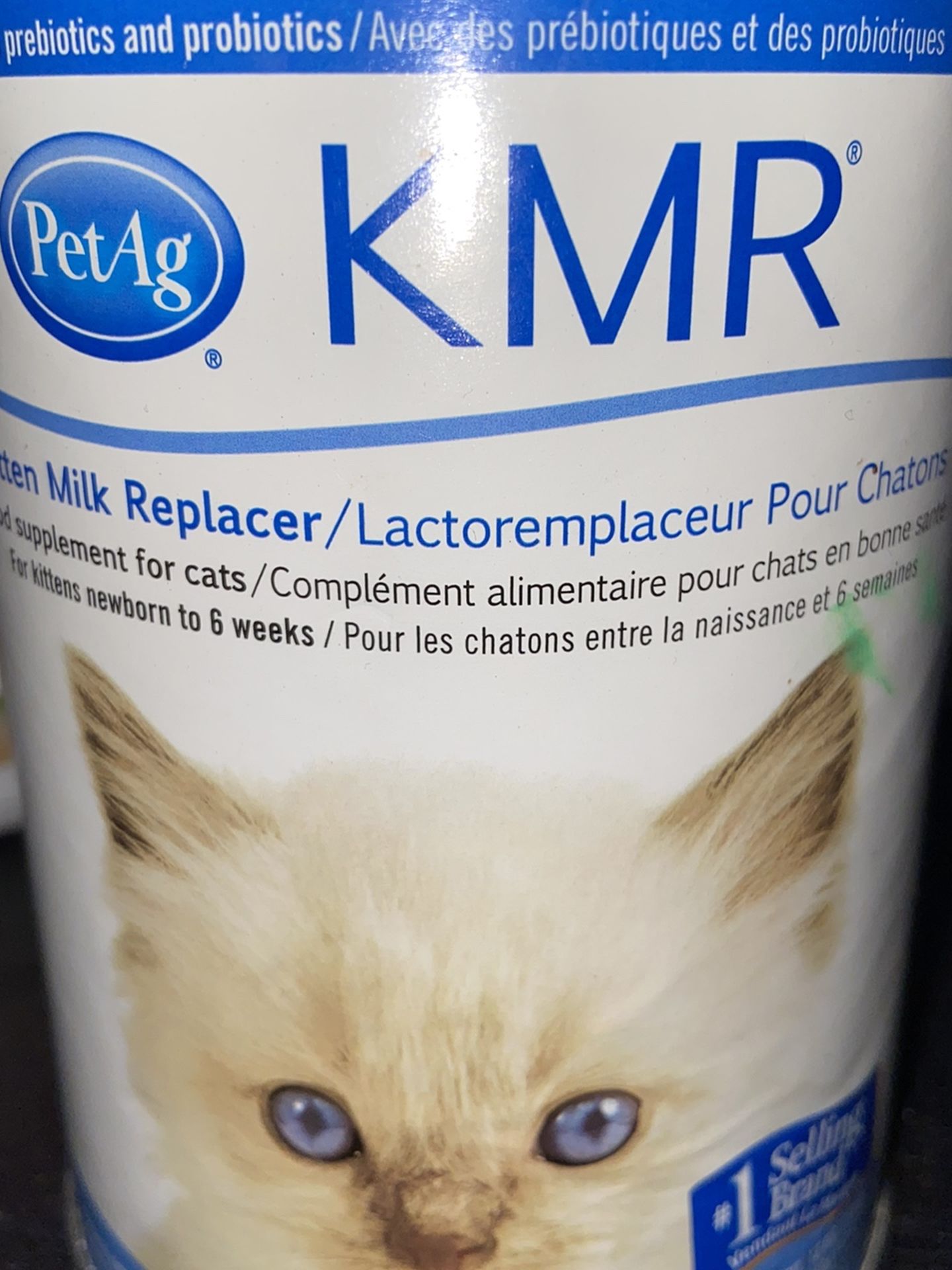 Free Kitten Formula