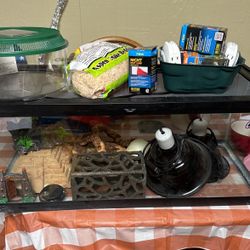 Snake Tank Set Up
