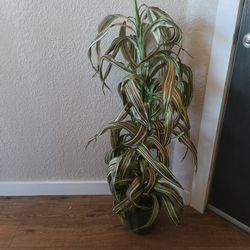 Decorative Artificial Plant 