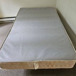 Twin box spring and metal bed frame - $45