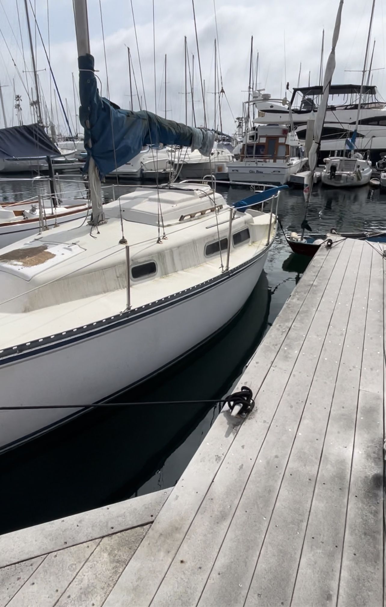 neptune 1984 sail boat
