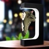 Floating Shoe Display 