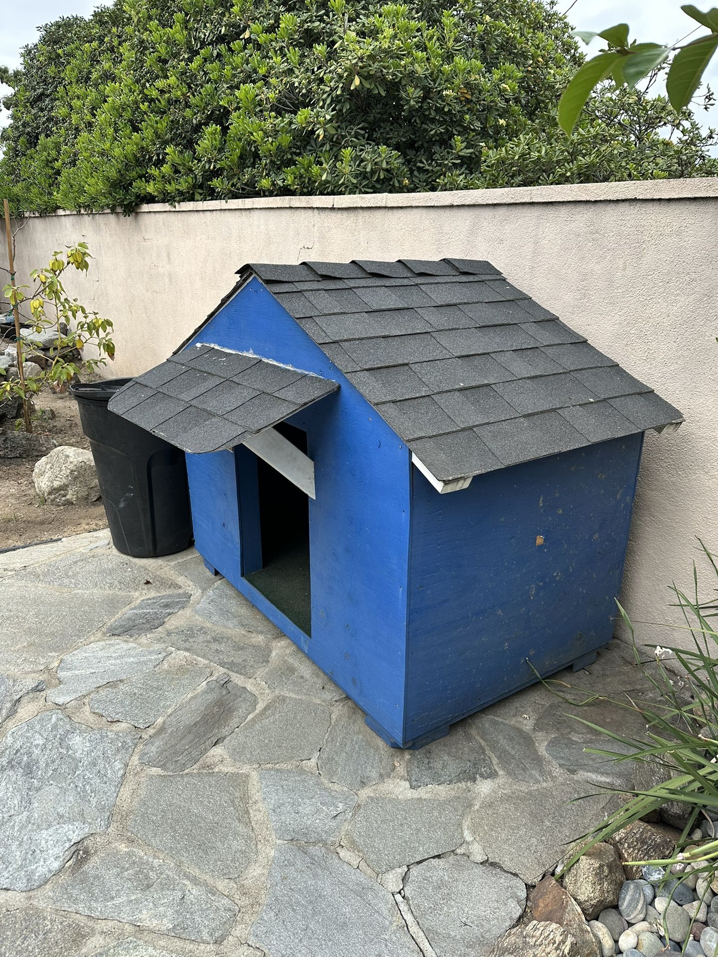 Dog House