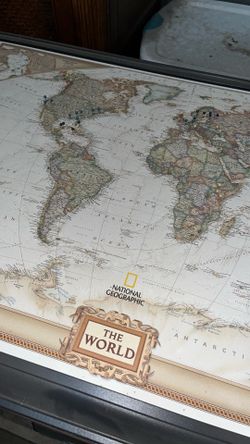 The World Map ( with pins )