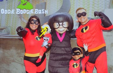 The Incredibles Costume (family of 4)