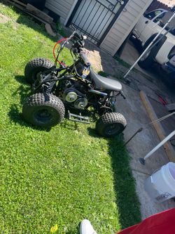 Quad