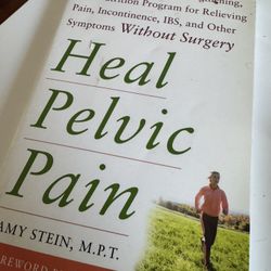 Heal Pelvic Pain by Amy Stein 