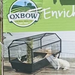 Rabbit habitat