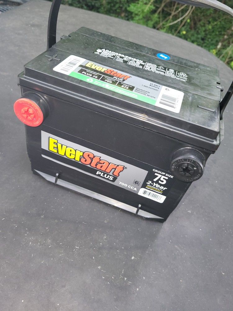Brandnew Everlast Side Post Car Battery