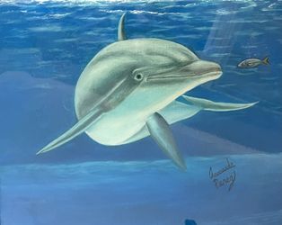 Dolphins Oil Painting With Acrylic Resin 16”x 20