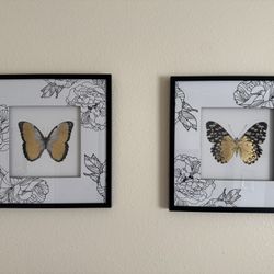 Two Beautiful 3-D Framed Artwork