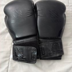 Sanabul Boxing Gloves 14 oz