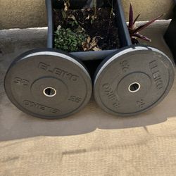 Weight Plates - Rogue Eleiko
