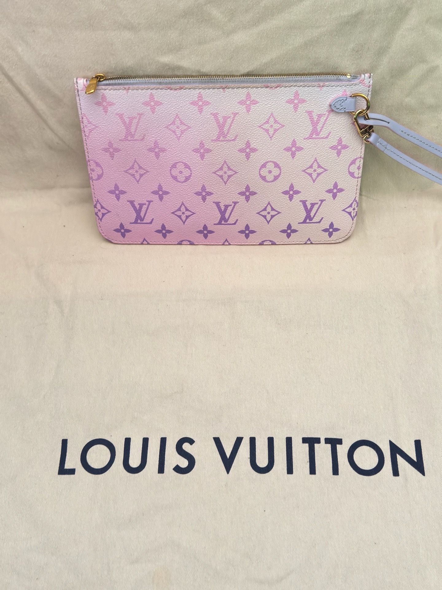 Louis Vuitton Hand Bag