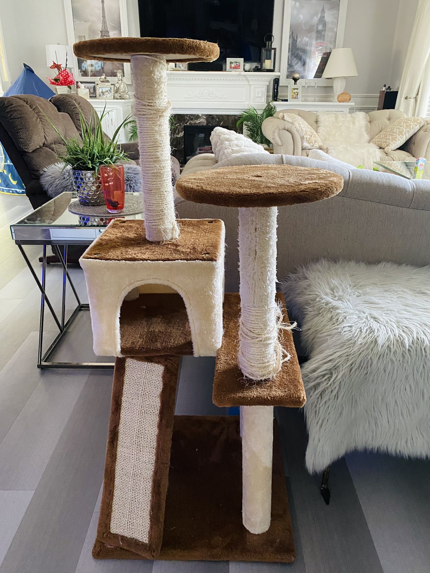 Tree for cat