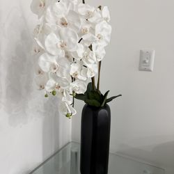 New Potted White Orchid Home Decoration, 37 Inches, Perfect Condition. Was $200 From Gallery 
