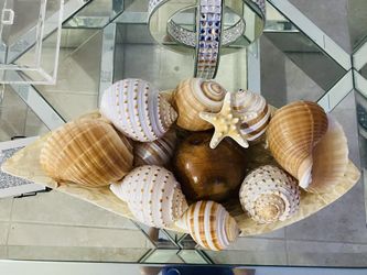 Shell Center For A Table  