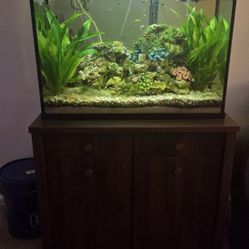 37 Gallon Tank With Stand(Everything Included)