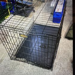 Dog Crate Or Dog Kennel