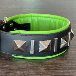 Dog Collar