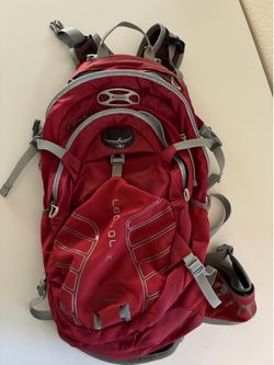 Osprey Raptor 14 Back Pack