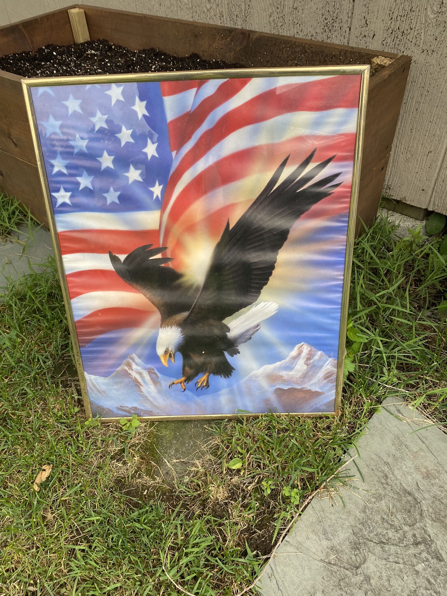 bald eagle print