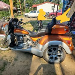 beutifull  trike needs new rider