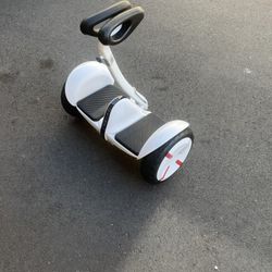 Segway Ninebot S