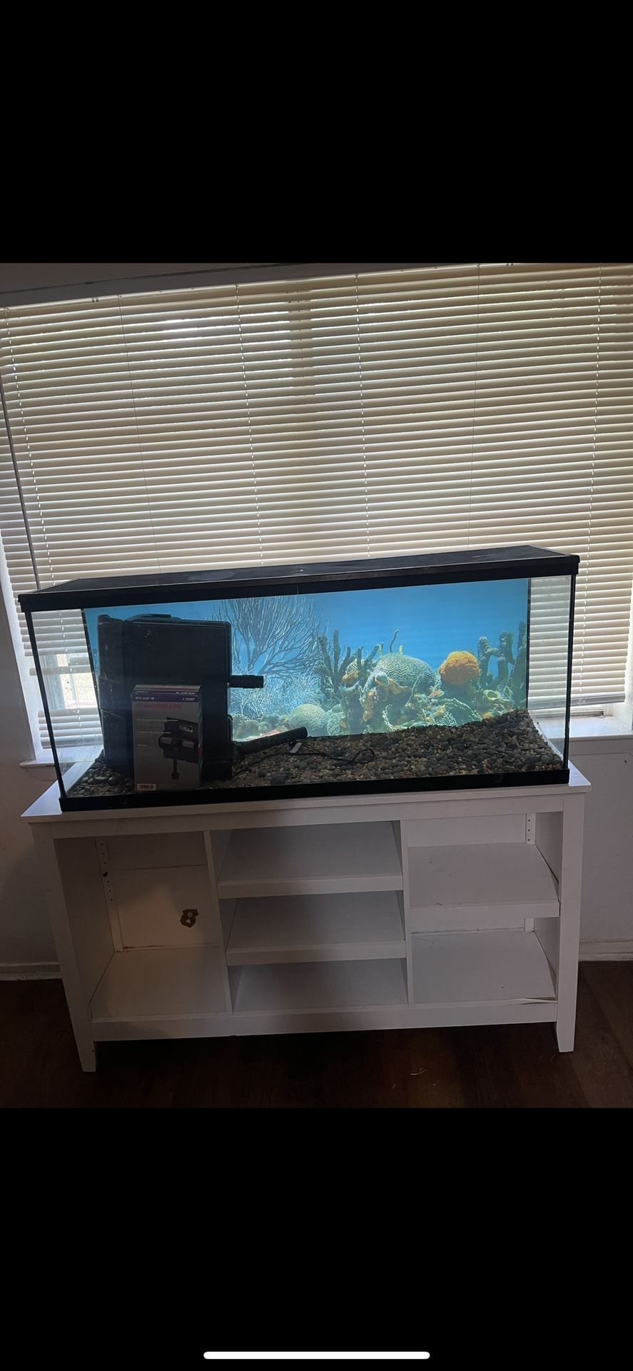 50 Gallon Fish Tank 