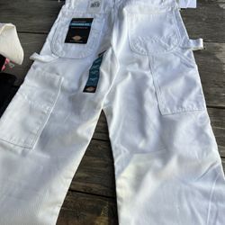 Dickie Brand New cargo Pants Size 30x30