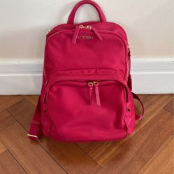 Tumi Voyageur Small Backpack