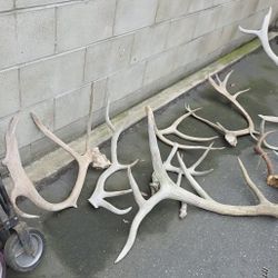 Antlers 