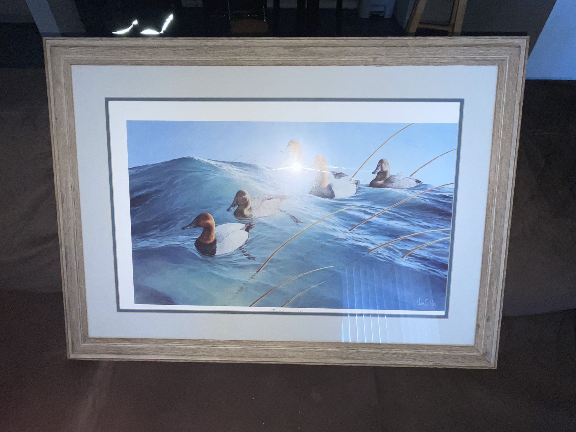 Ron Van Glider Canvasbacks Duck collection 