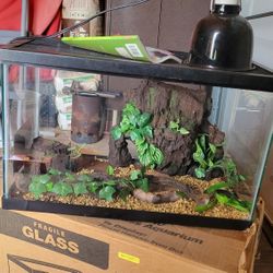 Reptile Tank With Accessories 