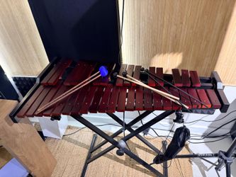 Xilófono / Glockenspiel de Estudio 30 Notas con Funda y Baquetas - Como Nuevo