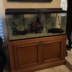 Fish tank