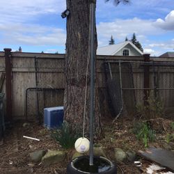 Free tether ball game