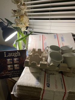Decorative Plant And Pic Frame