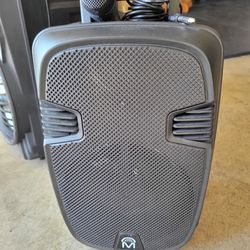 8" party speaker...