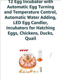 12 Eggs Incubator 🥚