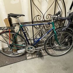 Bianchi Volpe