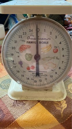 American Family Scale