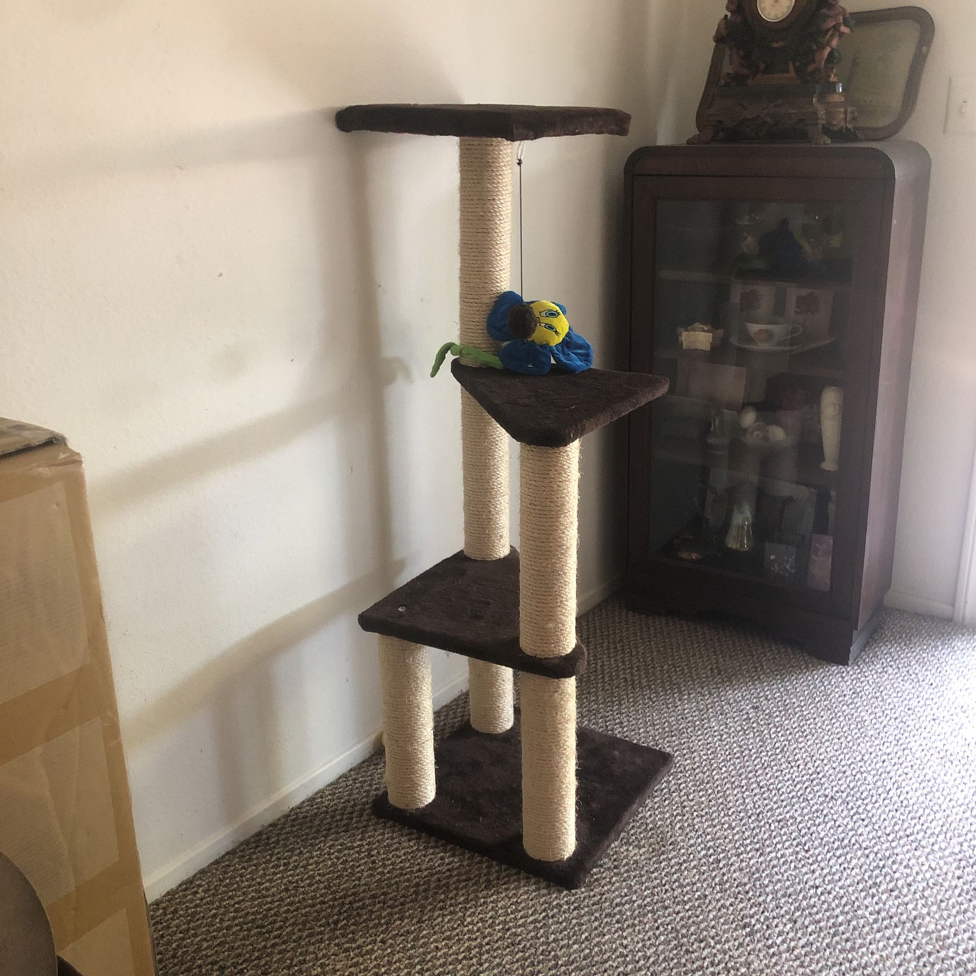 Cat Shelf Toy