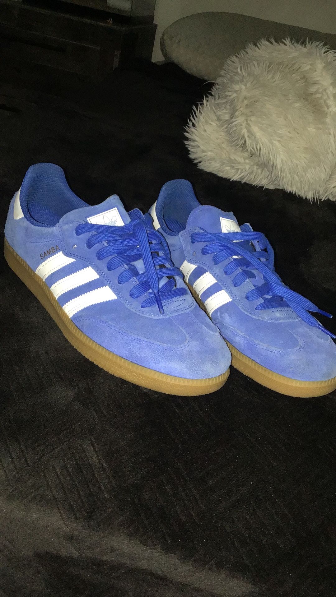 Adidas Sambas Blue Color way